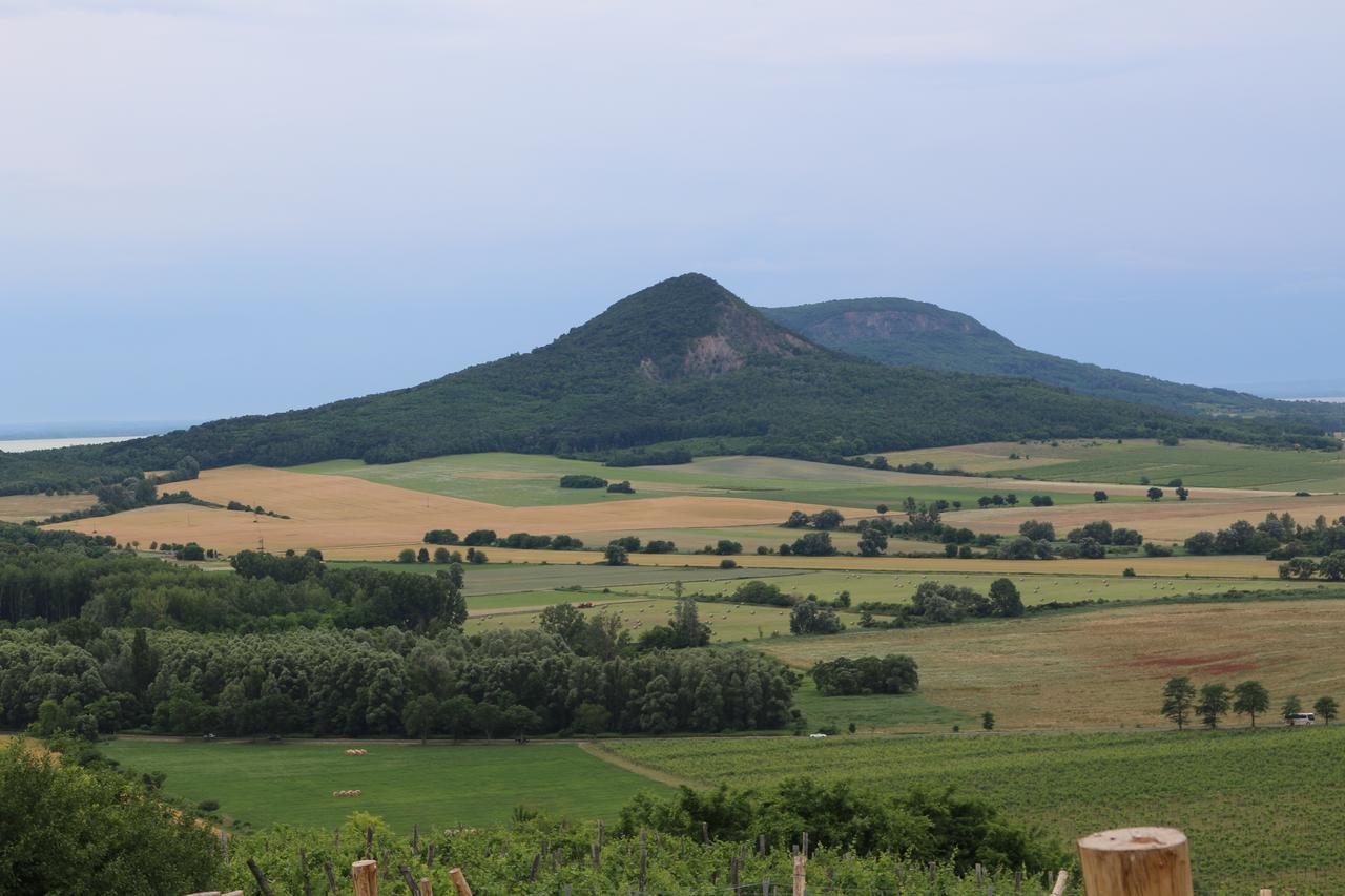 Villa Tolnay Vendeghaz Gyulakeszi Exteriör bild