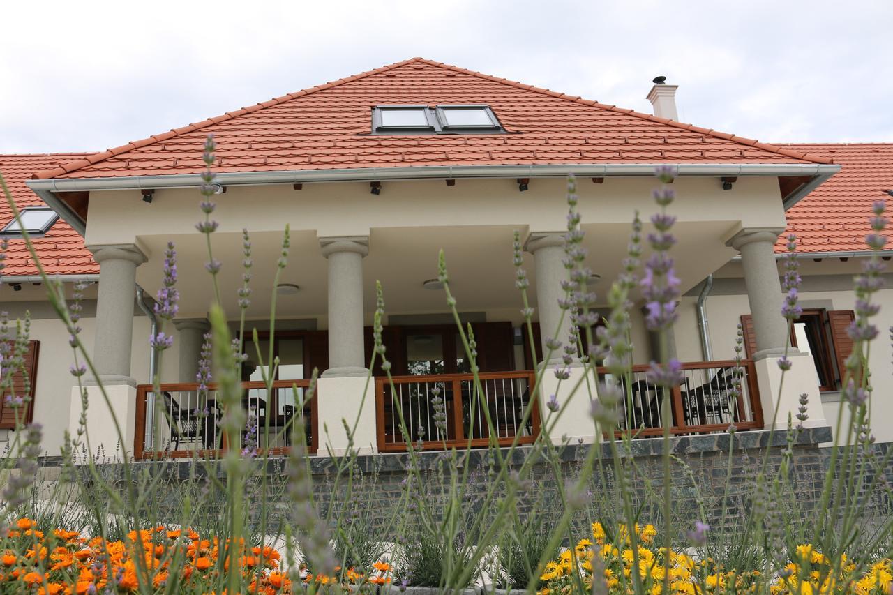 Villa Tolnay Vendeghaz Gyulakeszi Exteriör bild